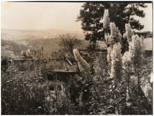Garten Friedrich Emil Krauß, Schwarzenberg: Sonnenuhr und Rittersporn