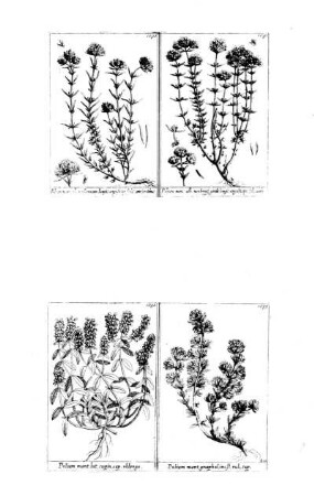 1080-1083