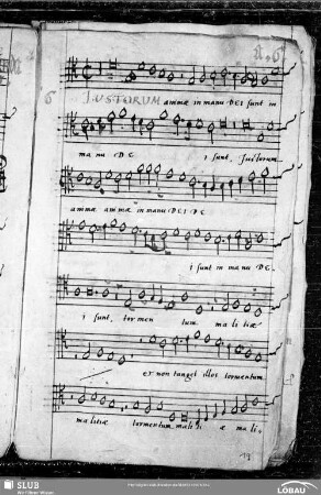 6 Jacobus Clemens non Papa: Justorum animae