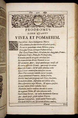 [Viertes Buch, Erster Theil. Wein-Garten.]