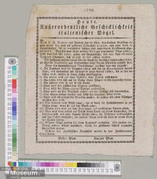 Außerordentliche Geschicklichkeit italienischer Vögel