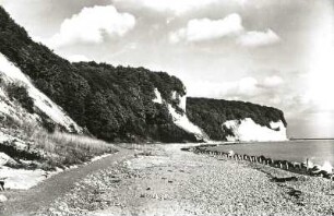 Rügen. Stubnitz. Gakower Ufer bei Saßnitz. Blick von der Schorre auf das Kreidekliff des Hengst