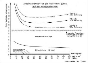 Arbeitszeitbedarf für die Mast eines Bullen auf der Handarbeitsstufe
