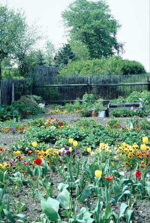 Nutzgarten mit blühenden Blumen, Gemüse