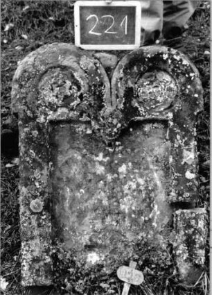 Grabstein 221 (Index: 100090565) Material: Sandstein Zustand: beschäd/verwitt/völliger Textverlust Maße HxBxT: 0x0x0 cm Beschreibung: Doppelstele, Schriftfeld eingetieft Symbolik: Blüten im Abschluß: Grabstein 221