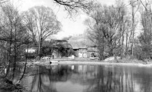 Panschwitz-Kuckau-Schweinerden. Blick zur ehem. Mühle