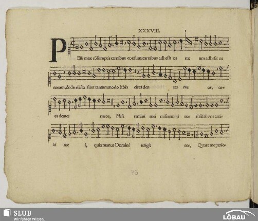 XXXVIII. Anonymus: Pelli meae
