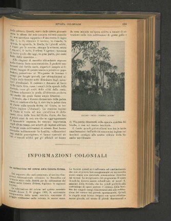 Informazioni Coloniali.