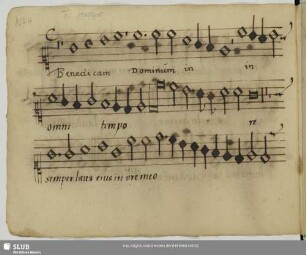 [Stoltzer, Thomas:] Benedicam Dominum