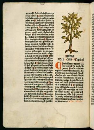 69v-70r, Kümel (114. Kapitel)