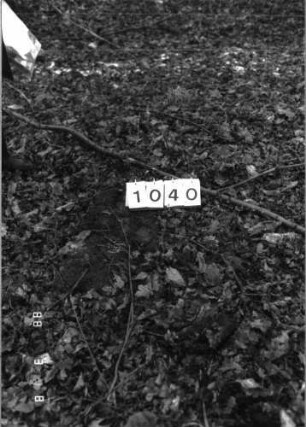 Grabstein 1040