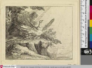[Der Phönix und die Eule; Le Phénix et le Hibou]