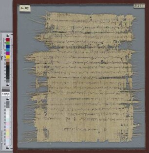 Fragment eines Zenon-Papyrus