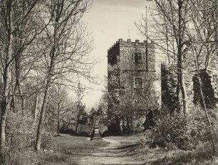 Alter Wartturm im Hof der Burgruine Hohentwiel bei Singen am Bodensee : Alter Wartturm im Hof der Festung Hohentwiel bei Singen am Bodensee
