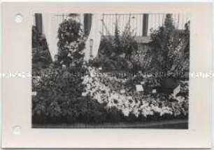 Hamburg, Internationale Gartenausstellung (IGA) 1973, Zweite Hallenschau