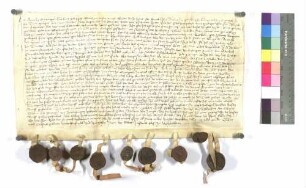 Mertelin Sintzinger, Gefangenschaft; Siegel: Mertelin Sinzinger, Beringer von Adelsheim, Götz und Beringer von Berlichingen, Zürch von Stetten.