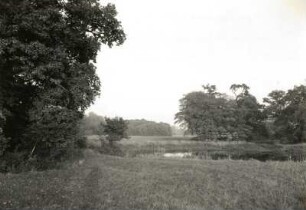 Oranienbaum-Wörlitz. Auenwald zwischen Wörlitz und Coswig/Anhalt mit Teich (Durchmesser etwa 25 m)