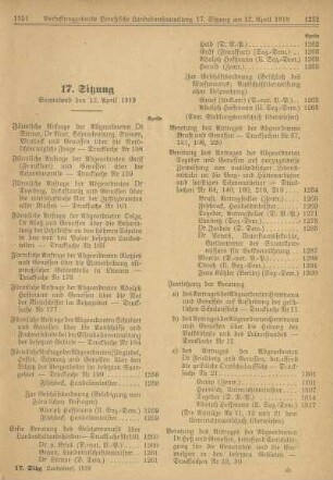 17. Sitzung, Sonnabend den 12. April 1919