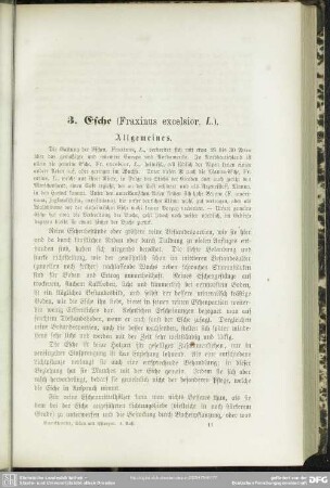 3. Esche (Fraxinus exelsior, L.)