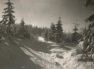 Alter Zaunhäuser Weg bei Altenberg