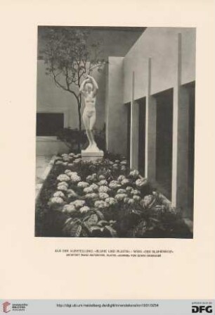 "Blume und Plastik": Ausstellung im Wiener Künstlerhaus