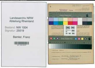 Entnazifizierung Franz Bamler , geb. 02.01.1903 (Mueller)