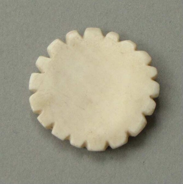 Shell ornament