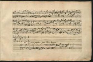 Canon perpetuus super Thema Regium