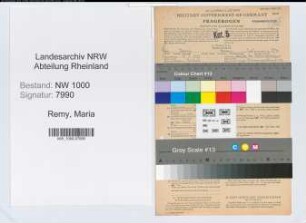 Entnazifizierung Maria Remy, geb. 18.05.1898 (Bueroangest.)