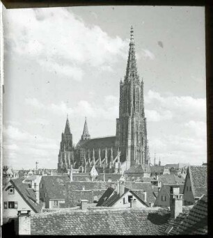 Münster von Nordwest