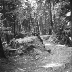 Mittelsachsen. Rothschönberger Stolln (1844/1846). Wanderweg neben dem Entwässerungsgraben (Rösche). Links wohl Fundament an einem Lichtloch (?)