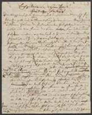 Brief von Regensburgische Botanische Gesellschaft an Sophie von Bray, geschrieben von Christian Heinrich Oppermann