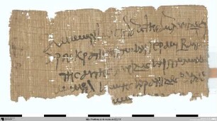 Deklaration (Zensus?)