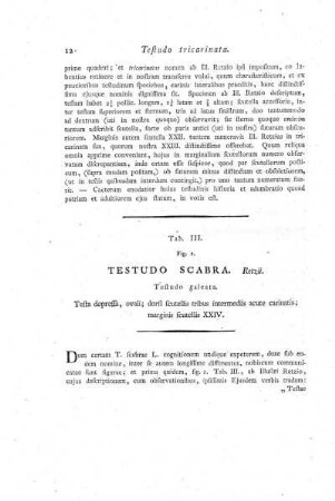 Tab. III. Fig. I. Testudo Scabra.