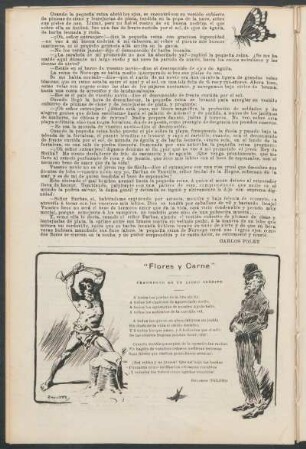 "Flores y carne" : Fragmento de un libro inédito