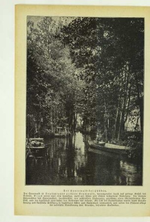 Der Spreewald bei Lübben