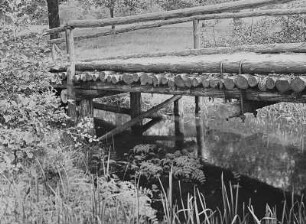 Moritzburg. Hölzerne Brücke im Tiergarten