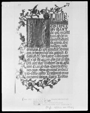 Lektionar für Kloster Weihenstephan angefertigt — Initiale D und Dreiviertelbordüre, Folio 14recto
