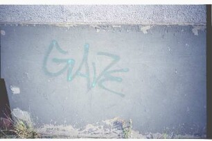 GAVE