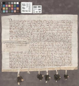 Mainz (Stadt): Litera bann. pro conventu Cenoby in Dalen prope Mog. super annuis et perpetuis redditibus trium librarum et sex solidorum hallensiu...