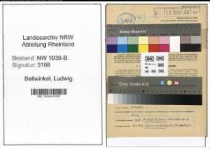 Entnazifizierung Ludwig Bellwinkel , geb. 16.10.1898 (Lehrer)