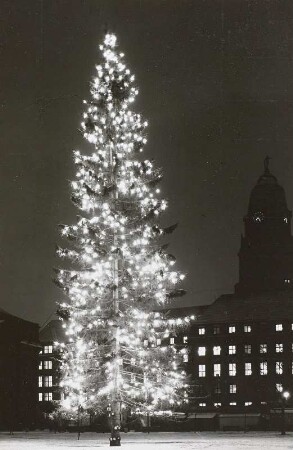 Dresden, beleuchteter Weihnachtsbaum auf dem Altmarkt