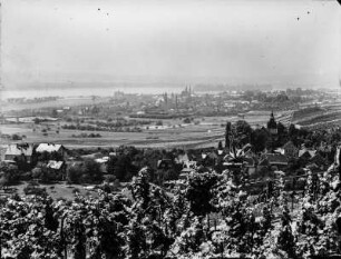 Schloss Johannisberg : Blick von Schloss Johannisberg über Geisenheim zum Rhein