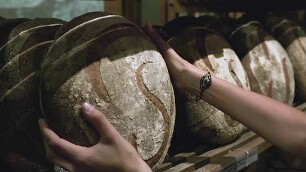 Brot