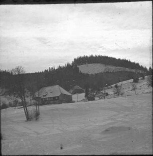 Im Seebachtal