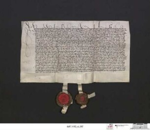 Kardinalpriester Pileus bestätigt und bewidmet mit einem hunderttägigen Ablass die Altaristenbruderschaft zu Frankfurt