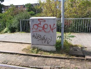 RiSK | .oseK | eLeMeNt