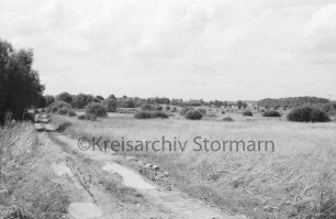 Brenner Moor: links Feldweg: rechts Wiesen und Büsche: hinten rechts Heuhocken: hinten Mitte Häuser