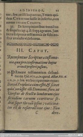 III: Caput. Recensentur Scripturae testimonia, quae pro confirmatione hujus articuli proferri possunt