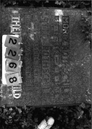 Grabstein 2268 [Hahn S. 186 Grab-Nr. Ur.II-130]: Grabstein 2268 (Detailaufnahme) [Hahn S. 186 Grab-Nr. Ur.II-130]